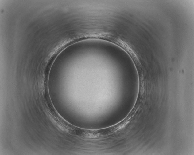 X0000085800346200703161156