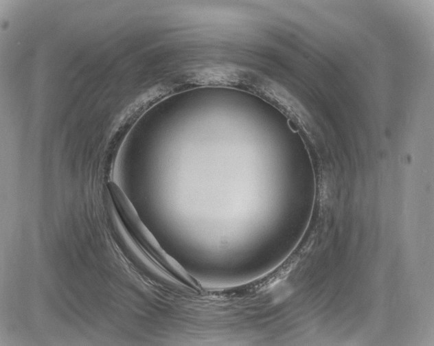 X0000085800353200703161156