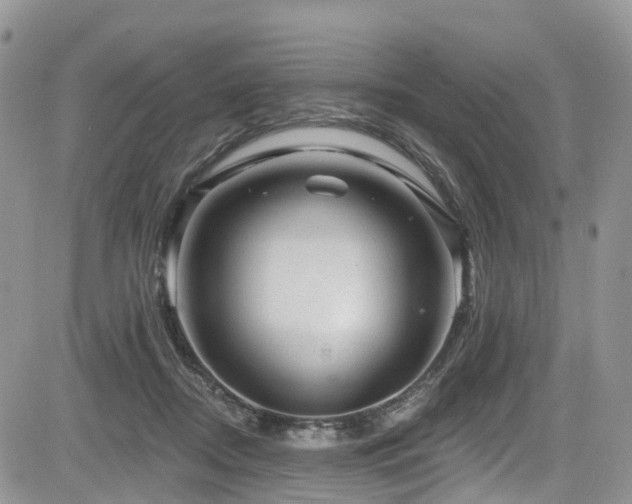 X0000085800362200703161156