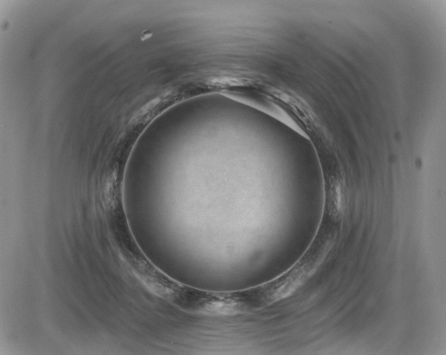 X0000085800364200703161156