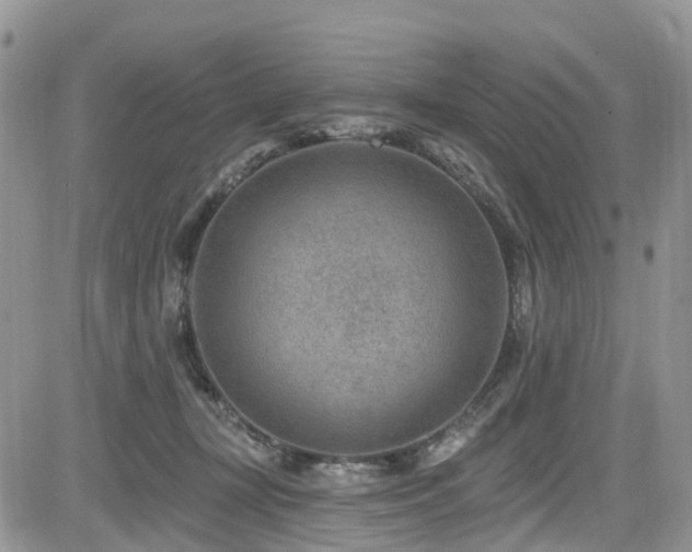 X0000085800367200703161156