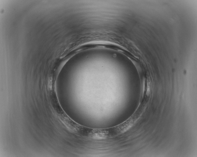 X0000085800368200703161156