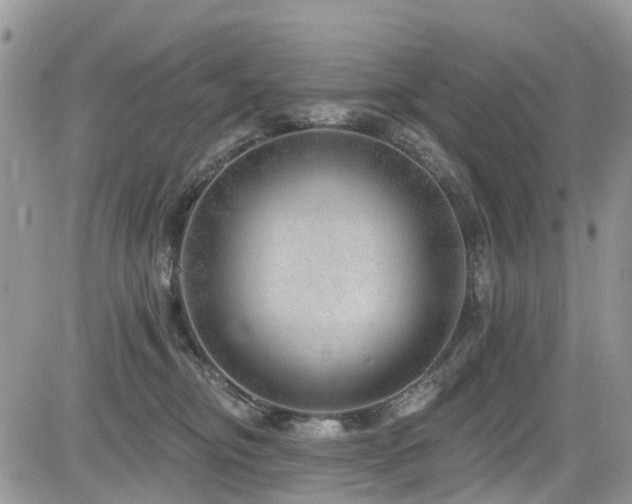 X0000085800374200703161156