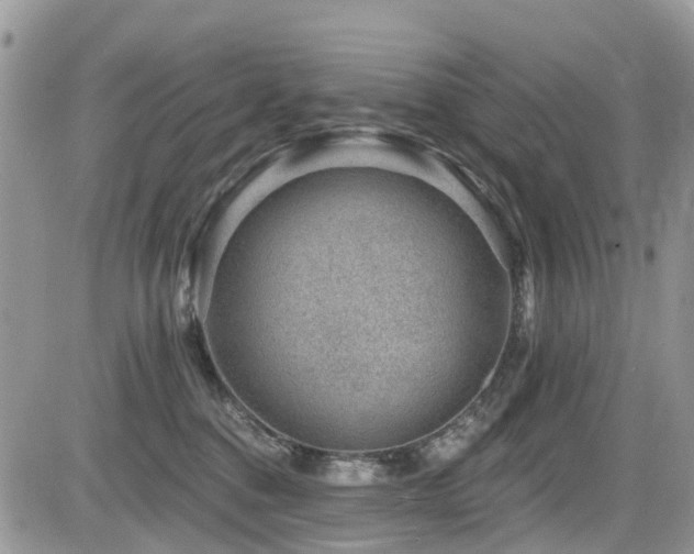 X0000085800376200703161156