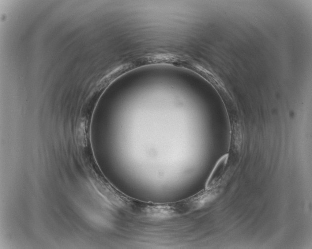 X0000085800378200703161156