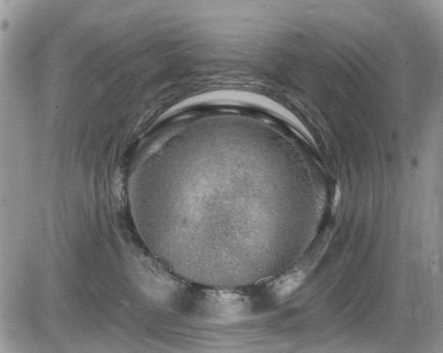 X0000085800380200703161156