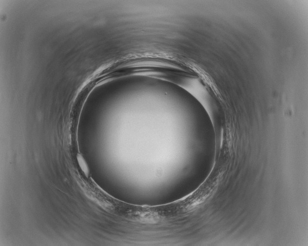 X0000085800395200703161155