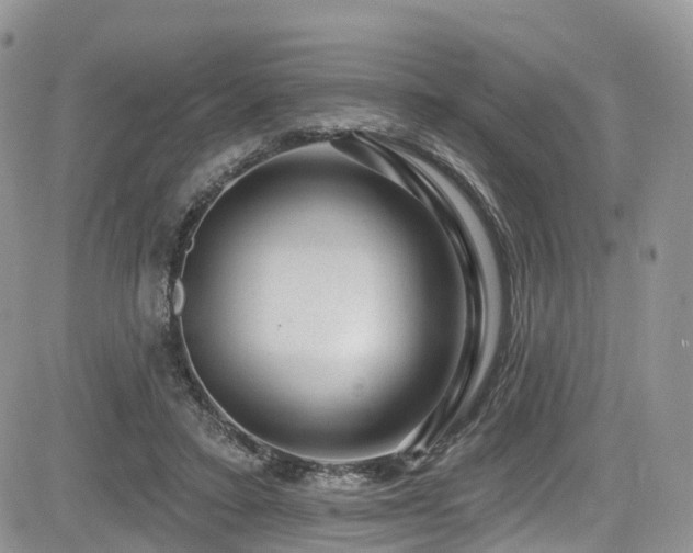 X0000085800403200703161155