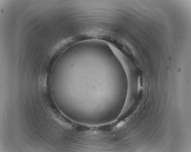 X0000085800404200703161155