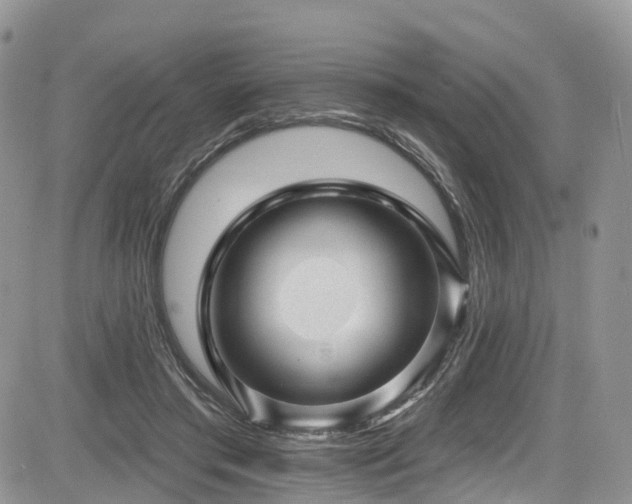 X0000085800405200703161155
