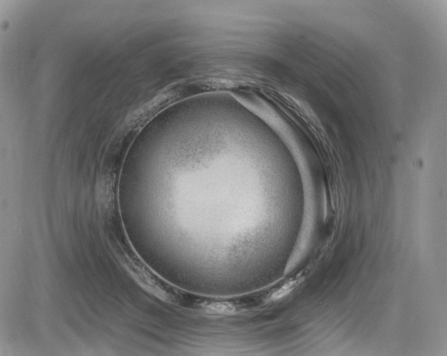 X0000085800409200703161155