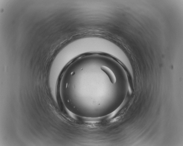 X0000085800411200703161155