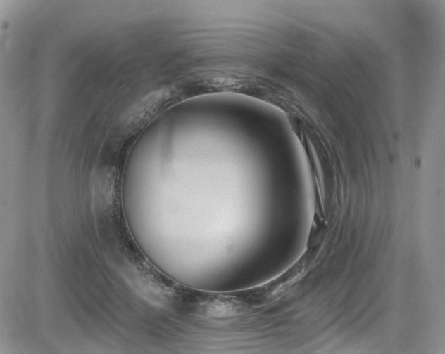 X0000085800412200703161155