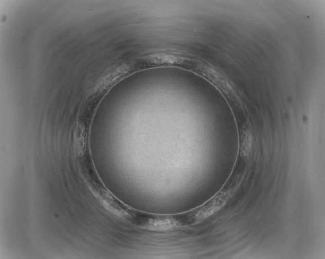 X0000085800414200703161155