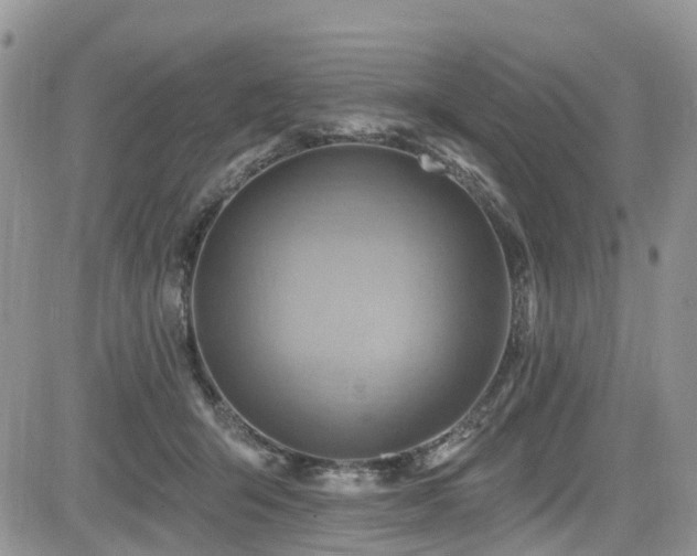 X0000085800415200703161155