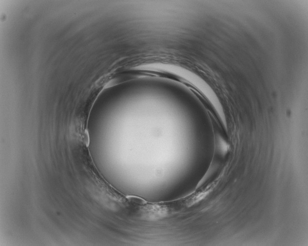X0000085800421200703161155