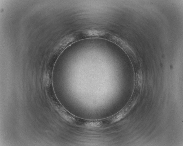 X0000085800422200703161155