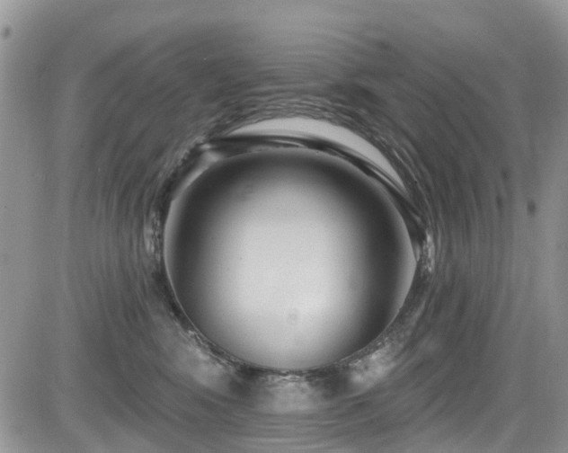 X0000085800424200703161155