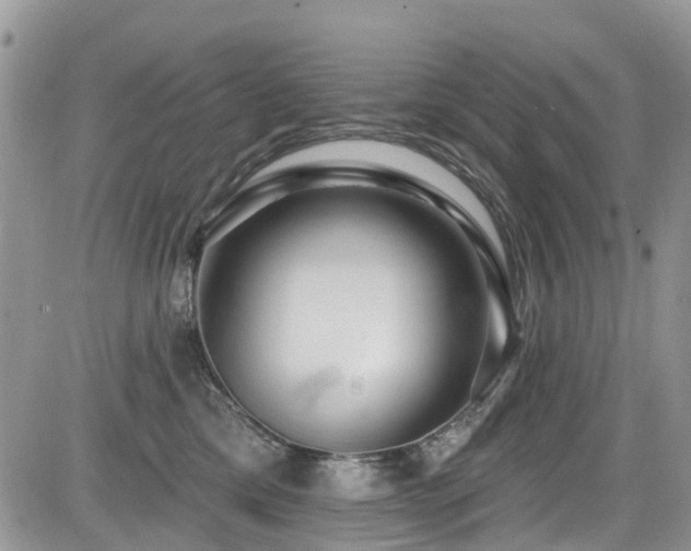 X0000085800425200703161155