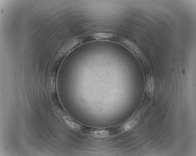 X0000085800426200703161155