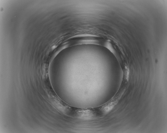 X0000085800428200703161155