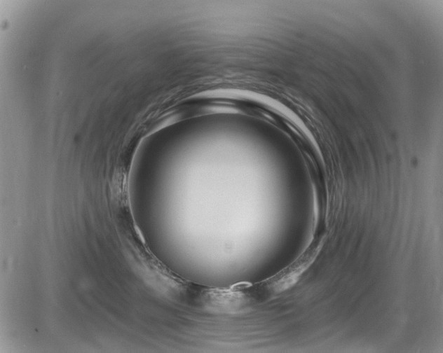 X0000085800429200703161155