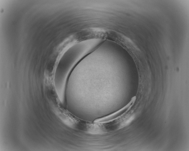 X0000085800432200703161155