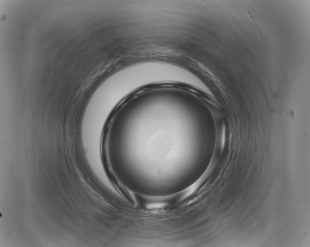 X0000085800452200703161154