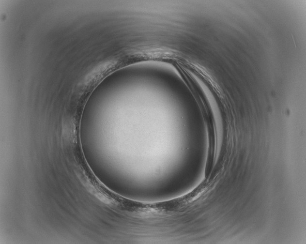 X0000085800453200703161154