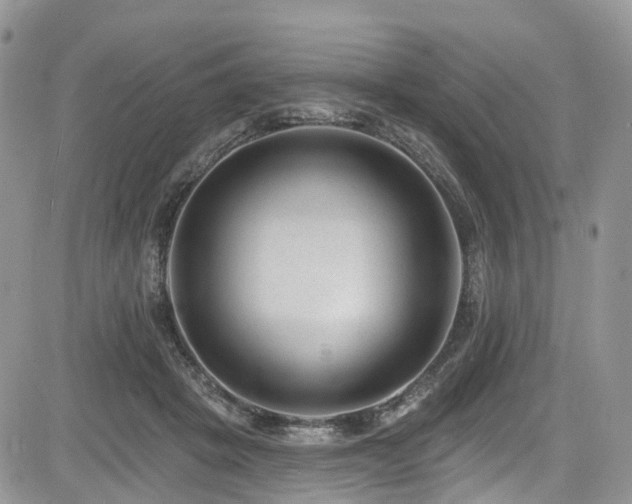 X0000085800457200703161154