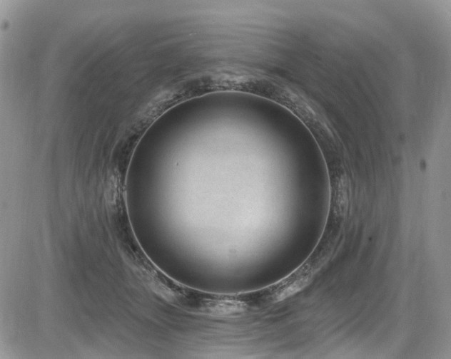 X0000085800463200703161155