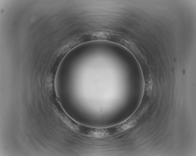 X0000085800466200703161155