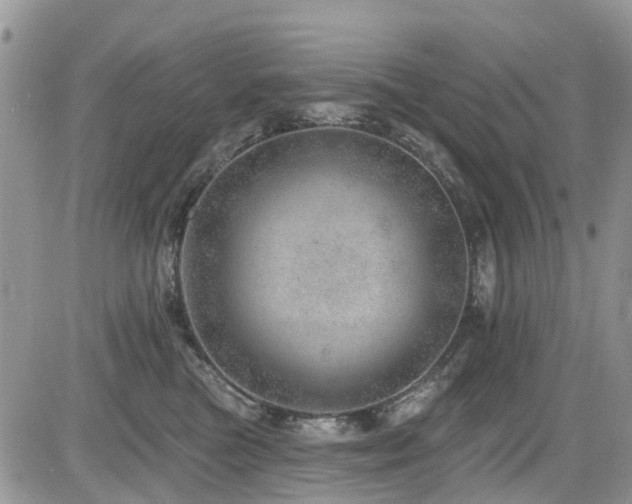 X0000085800473200703161155