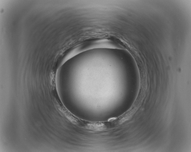 X0000085800480200703161155