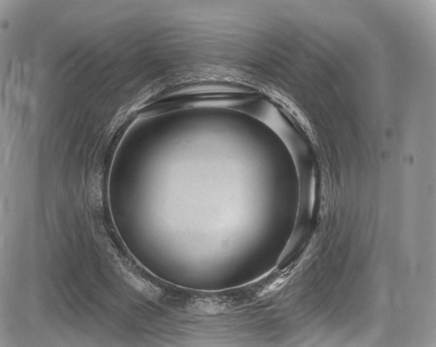 X0000085800489200703161154