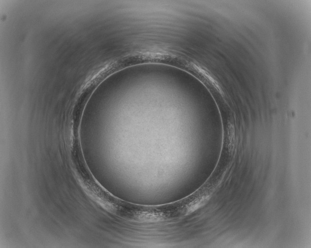 X0000085800494200703161154