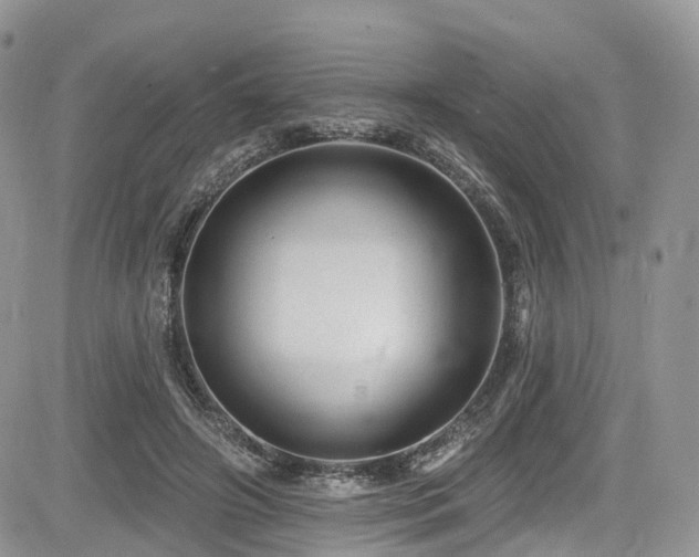 X0000085800498200703161154