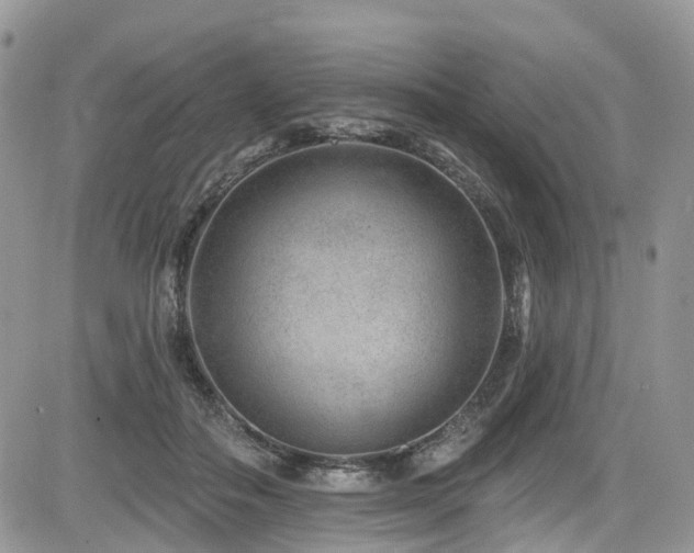 X0000085800506200703161154