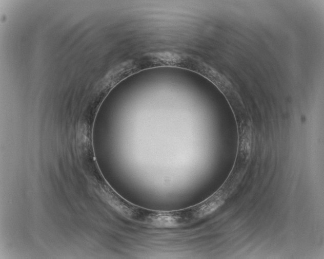 X0000085800518200703161153