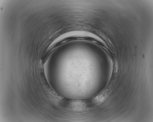 X0000085800521200703161153