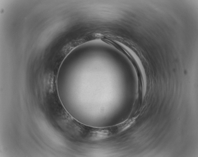X0000085800525200703161153