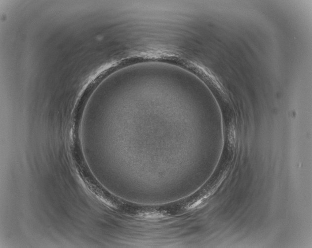 X0000085800540200703161152