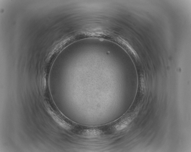X0000085800541200703161152