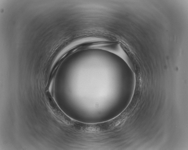 X0000085800546200703161153
