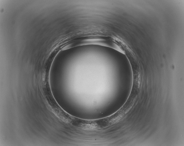 X0000085800548200703161153