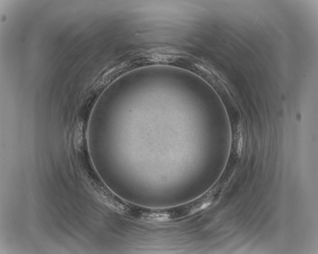 X0000085800554200703161153