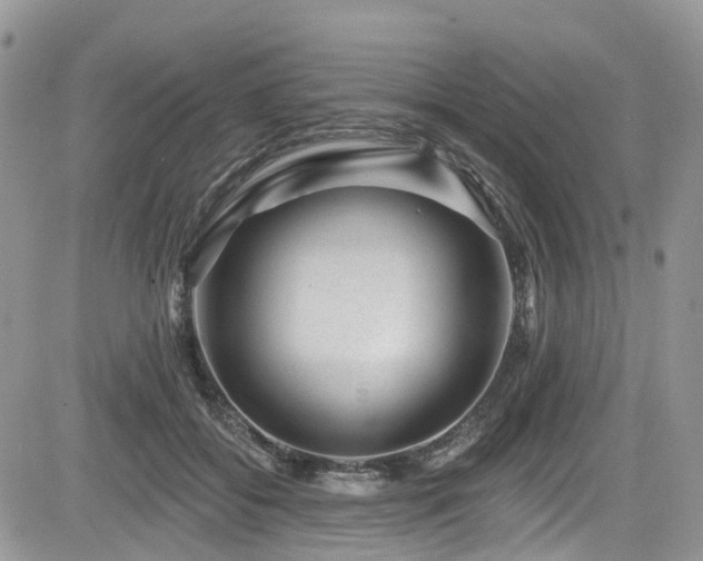 X0000085800556200703161153