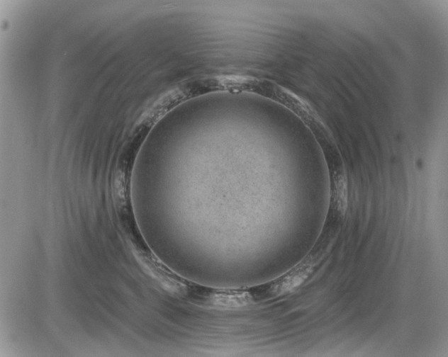 X0000085800571200703161153
