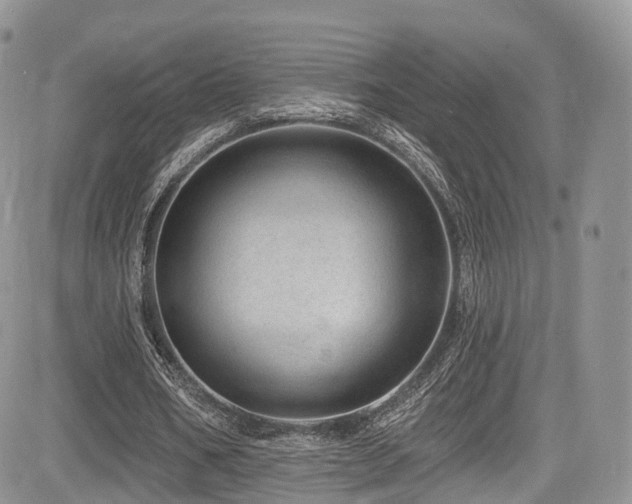 X0000085800578200703161152
