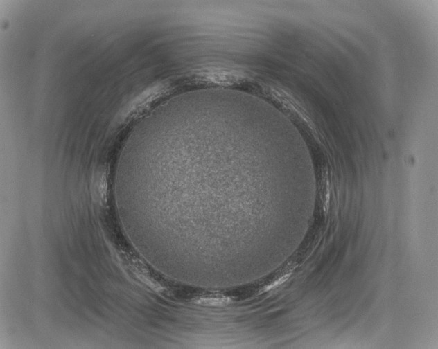 X0000085800595200703161152